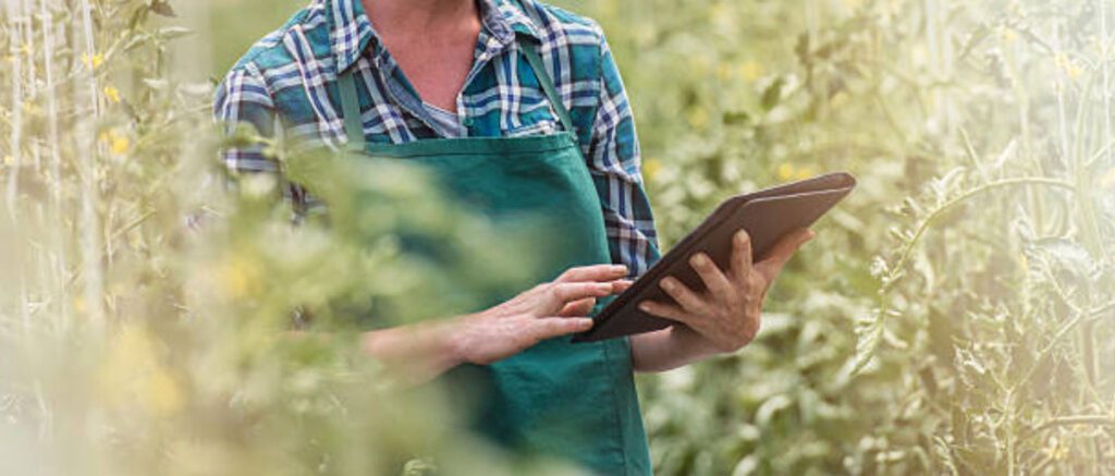 denkfabrik-garten-slider-2